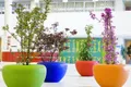 https://cdn-images.vtv.vn/thumb_w/630/2015/colorful-outdoor-flower-pots-1446536956795.jpg