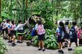 https://cdn-images.vtv.vn/thumb_w/630/2015/the-singapore-botanic-garden-which-is-open-to-the-public-for-free-is-incredible-singaporeans-often-come-here-to-picnic-and-relax-on-the-weekends-1425493928718.jpg