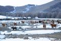 https://cdn-images.vtv.vn/thumb_w/630/2015/travelling-in-mongolian-wilderness-away-from-the-city-stress-and-tech-driven-style-13-880-1448439990735.jpg