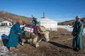 https://cdn-images.vtv.vn/thumb_w/630/2015/travelling-in-mongolian-wilderness-away-from-the-city-stress-and-tech-driven-style-19-880-1448439990742.jpg