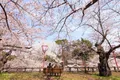 https://cdn-images.vtv.vn/thumb_w/630/2016/spring-japan-cherry-blossoms-national-geographics-161-1458807729249.jpg