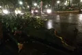 https://cdn-images.vtv.vn/thumb_w/630/Uploaded/daoluunhanai/2014_06_05/1.jpg