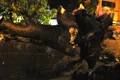 https://cdn-images.vtv.vn/thumb_w/630/Uploaded/daoluunhanai/2014_06_05/15.jpg