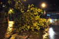 https://cdn-images.vtv.vn/thumb_w/630/Uploaded/daoluunhanai/2014_06_05/18.jpg