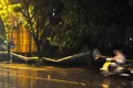 https://cdn-images.vtv.vn/thumb_w/630/Uploaded/daoluunhanai/2014_06_05/24.jpg