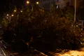https://cdn-images.vtv.vn/thumb_w/630/Uploaded/daoluunhanai/2014_06_05/6.jpg