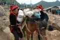 https://cdn-images.vtv.vn/thumb_w/630/Uploaded/haihung/2014_02_13/02.jpg