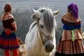https://cdn-images.vtv.vn/thumb_w/630/Uploaded/haihung/2014_02_13/06.jpg