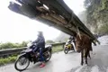 https://cdn-images.vtv.vn/thumb_w/630/Uploaded/haihung/2014_02_13/08.jpg