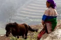 https://cdn-images.vtv.vn/thumb_w/630/Uploaded/haihung/2014_02_13/13.jpg