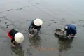 https://cdn-images.vtv.vn/thumb_w/630/Uploaded/quangphat/2014_01_22/ca_chep_23_thang_chap_1_VTV_Online_23012014.jpg