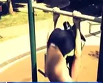 Calisthenics – 'làn gió mới' của thể thao đường phố