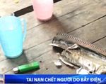 Tai nạn chết người do bẫy điện diệt chuột