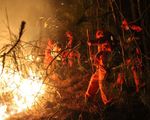 Cháy rừng lan rộng tại Tây Ban Nha