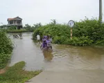 Miền Trung: Mưa, lũ bất thường giữa mùa khô