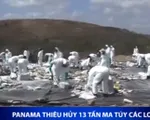 Panama tiêu hủy 13 tấn ma túy các loại