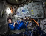 NASA sẽ gửi 3 phi hành gia lên ISS