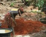 Cuộc sống đầy hiểm nguy của những trẻ em đào vàng tại Nigeria