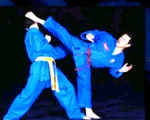 Người có công đưa Vovinam - Việt Võ đạo ra thế giới