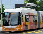 TP.HCM: Người dân được đi xe bus điện miễn phí