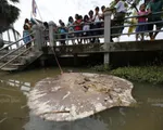 Thái Lan làm sạch nước sông Mae Klong