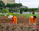 Hà Nội dừng cắt tỉa thảm cỏ, vườn hoa, 6.000 lao động sẽ mất việc