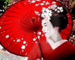 Geisha - N&eacute;t văn h&oacute;a truyền thống Nhật Bản cần lưu giữ