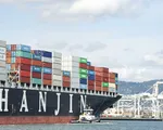 Vụ hãng tàu Hanjin phá sản: Bộ GTVT vào cuộc giúp doanh nghiệp