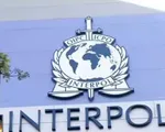 Interpol điều tra đường dây cá cược bóng đá tại Singapore