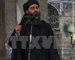 Thủ lĩnh IS Abu Bakr al-Baghdadi có thể đã bị tiêu diệt