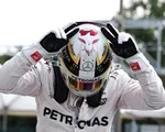 Lewis Hamilton sánh ngang kỷ lục của Ayrton Senna trên đường đua F1