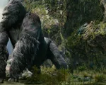 Vì sao đoàn làm phim “Kong: Skull Island” chọn Việt Nam để ghi hình?