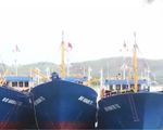 Ngư dân Bình Định đón nhận 7 tàu vỏ thép