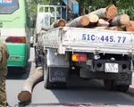 Tai nạn hi hữu: Xe cẩu làm rơi thân dừa đè chết cậu bé 15 tuổi tại Bình Dương