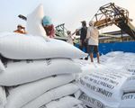 Thái Lan nghi có âm mưu làm rối loạn thị trường gạo