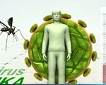 Bà Rịa-Vũng Tàu: Ghi nhận ca nhiễm virus Zika đầu tiên