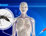 TP.HCM dập dịch Zika tại 3 điểm nóng