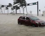 Siêu bão Irma 'trút cuồng nộ' ở Florida, ít nhất 4 người thiệt mạng