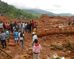 Số ca tử vong do lở đất ở Sierra Leone tiếp tục tăng cao