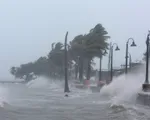 Bão Irma gây thiệt hại đáng kể tại các vùng lãnh thổ thuộc Pháp