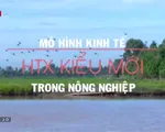 Mô hình Hợp tác xã kiểu mới khẳng định vị thế của kinh tế tập thể