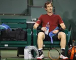 Để thua tay vợt số 129, Andy Murray bật bãi khỏi Indian Wells