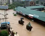 Voi giải cứu hàng trăm người mắc kẹt trong lũ ở Nepal