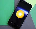 Google sẽ trình làng Android O vào ngày 21/8 vì lý do không thế tin nổi