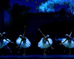 Vở ballet 'Hồ thiên nga' chuẩn bị ra mắt khán giả Hà Nội