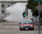 Hong Kong, Macau (Trung Quốc) thiệt hại 1 tỷ USD do bão Hato