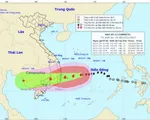 Sáng 4/11, bão số 12  sẽ đi vào đất liền, sóng biển dâng cao nhất 8m