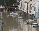 Bão Damrey tàn phá đảo Penang, Malaysia