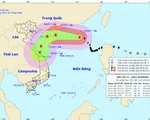 Bão số 11 có khả năng suy yếu thành áp thấp nhiệt đới