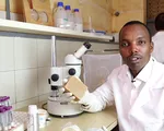 Xà phòng chống muỗi đốt tại châu Phi